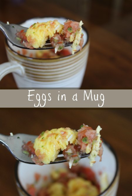 Eggs in a Mug Recipe on Food Wine Sunshine and Cooking