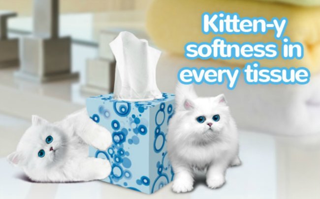 Let Scotties Facial Tissues Help You This Allergy Season