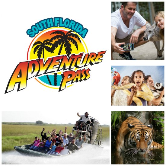 South Florida Adventure Pass South Florida Theme Parks South Florida