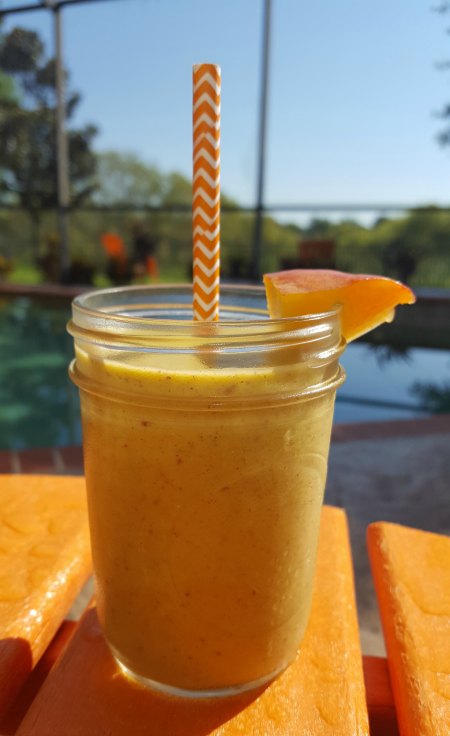 Healthy Avocado Peach Smoothie 