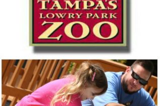 Tampa's Lowry Park Zoo Events on Food Wine Sunshine and Cooking