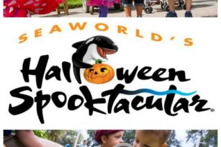 SeaWorld Orlando Spooktacular on Food Wine Sunshine