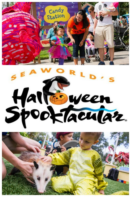 SeaWorld Orlando Spooktacular on Food Wine Sunshine