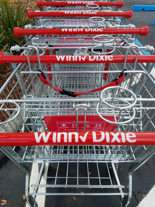 Winn-Dixie South Tampa location