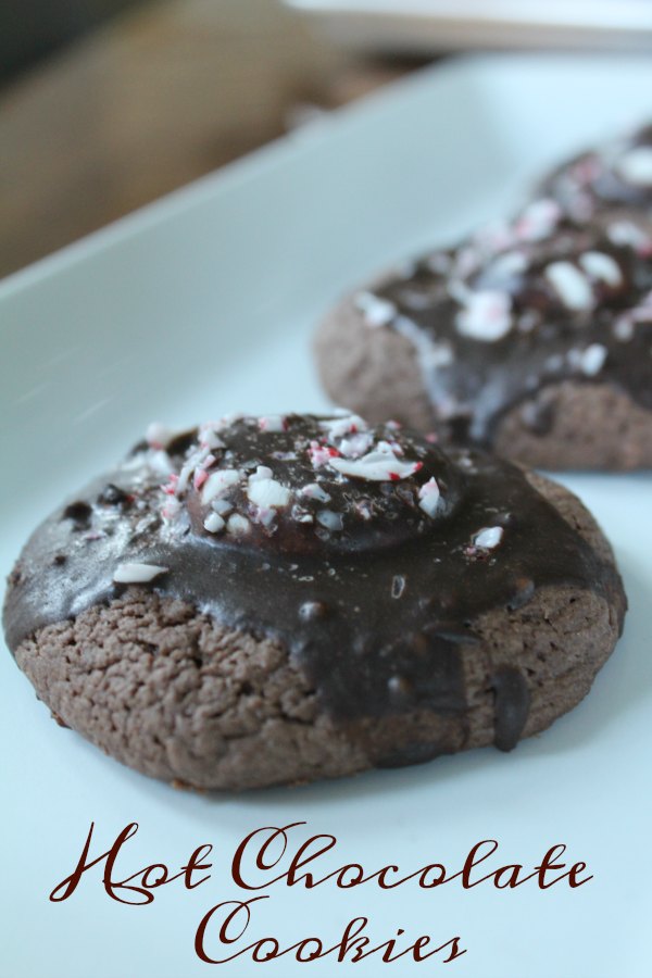 Tasty Hot Chocolate Cookies 