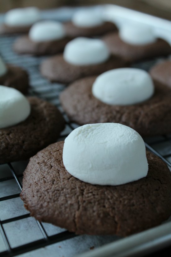 Hot Chocolate Peppermint Cookies 