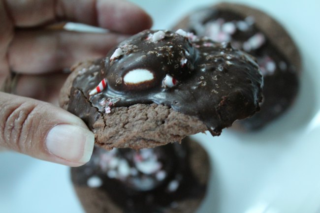 Best Hot Chocolate Cookies 