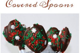 Cookie Butter Chocolate Covered Spoons on Food Wine Sunshine