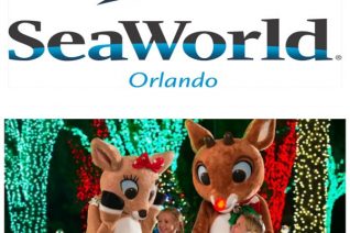 SeaWorld Christmas Celebration 2016 on Food Wine Sunshine