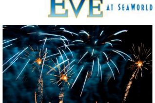 new years eve at seaworld on having fun saving & cooking