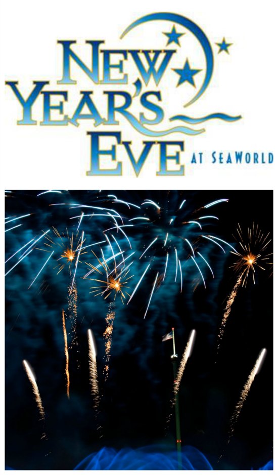 Seaworld Fireworks Time New Year's Eve agc