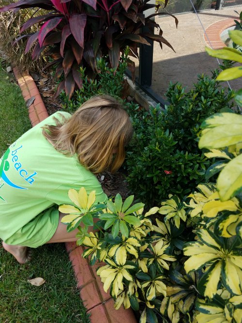 Kids helping with chores