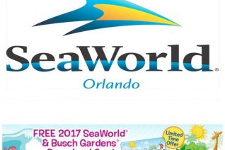 SeaWorld Preschool Card 2017 on Food Wine Sunshine