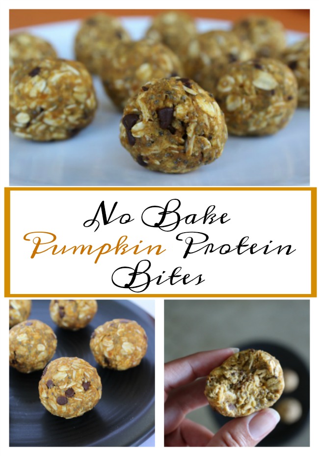 Best No Bake Pumpkin Protein Bites 