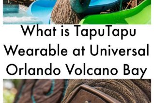 Universal Orlando Volcano Bay | What is TapuTapu Wearable - Having FUn Saving & Cooking