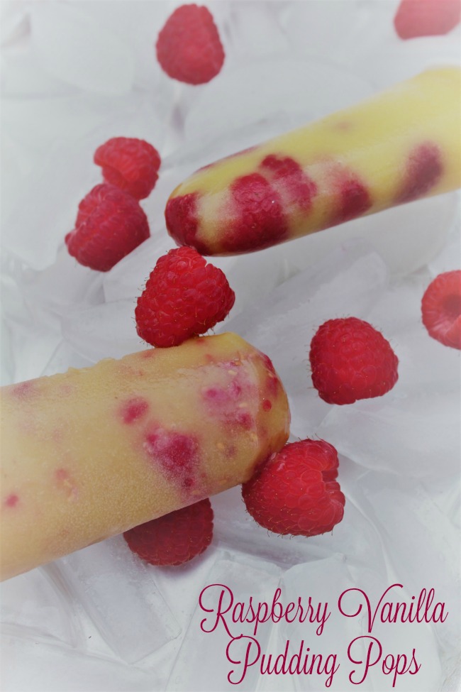 Best Homemade Raspberry Vanilla Pudding Pops