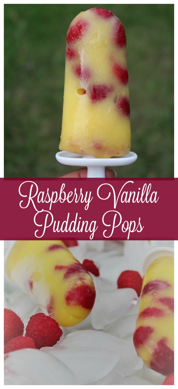 Homemade Raspberry Vanilla Pudding Pops 