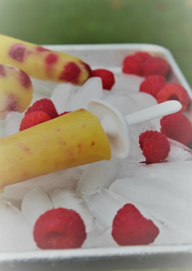 Tasty Raspberry Vanilla Pudding Pops