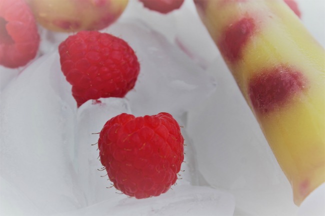 Homemade Raspberry Vanilla Pudding Pops - Food Wine Sunshine