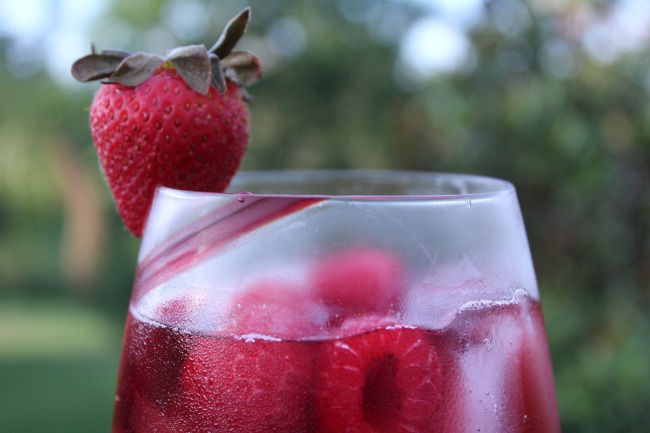 Vodka Sangria Spritzer