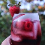 Vodka Sangria Spritzer