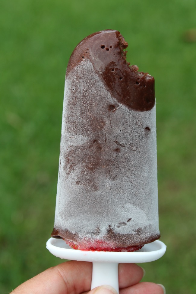 Strawberry Chocolate Pudding Pops