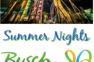 Busch Gardens Tampa Summer Nights