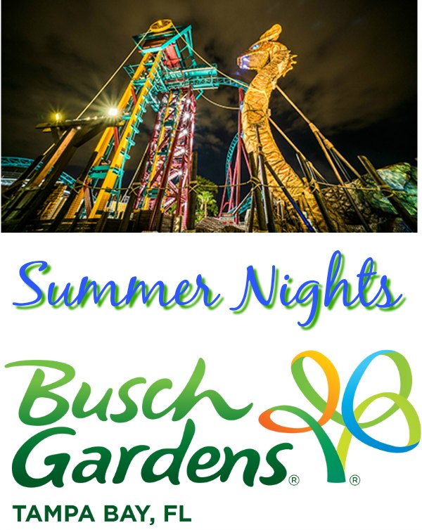 Busch Gardens Summer Nights Busch Gardens Tampa Bay