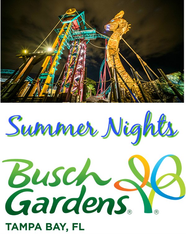 Busch Gardens Tampa Summer Nights