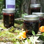 Merlot Cherry Habanero Jelly on Food Wine Sunshine