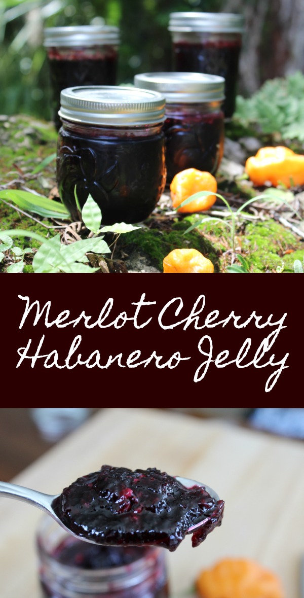 Delicious Cherry Habanero Jelly 