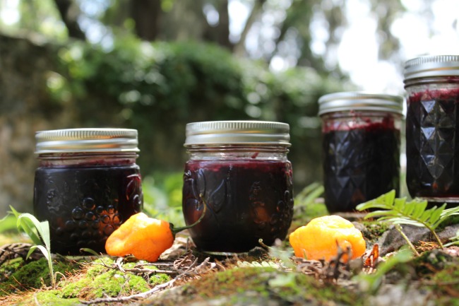 Cherry Habanero Jelly 