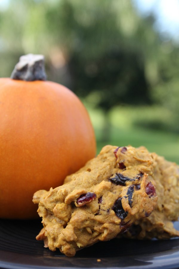 Dried cherry Oatmeal Pumpkin Cookies