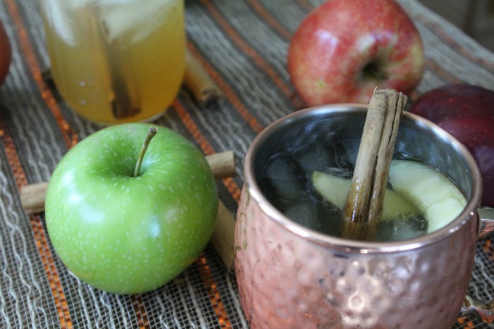 Tasty Apple Cider Mule 