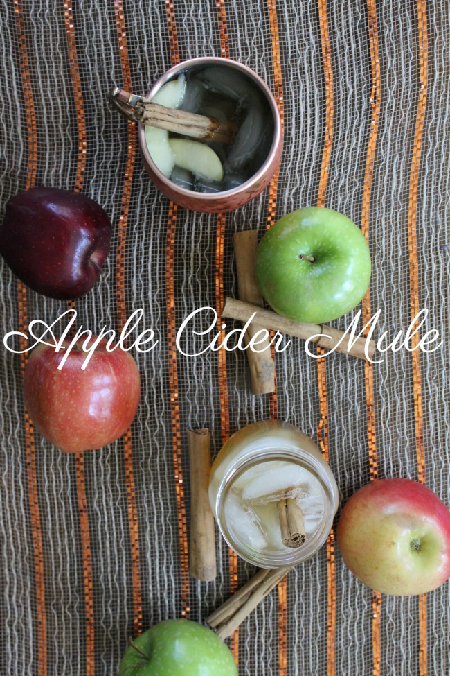 Apple Cider Moscow Mule