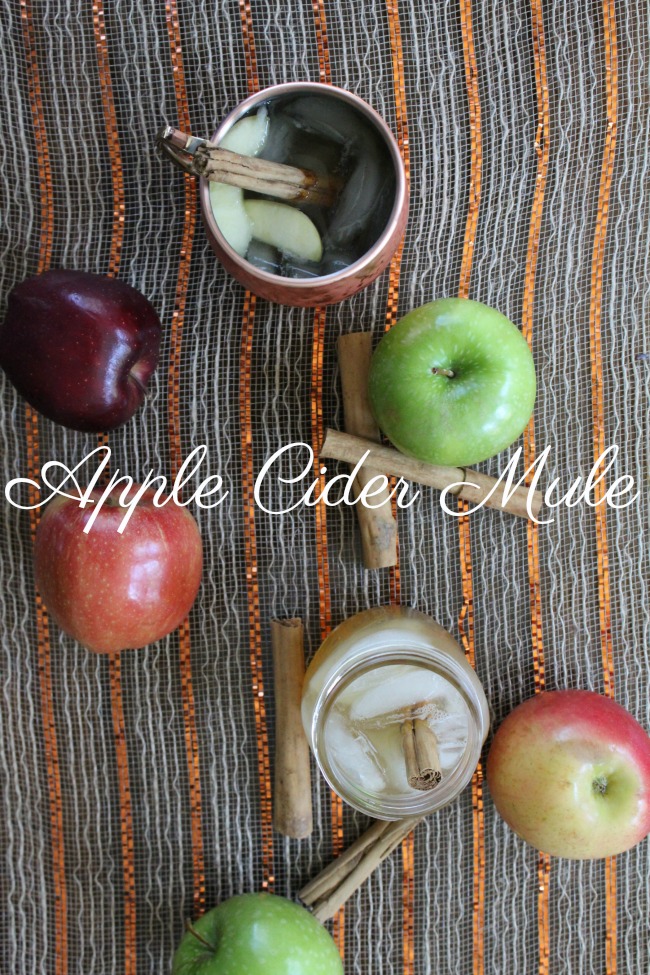 Apple Cider Moscow Mule