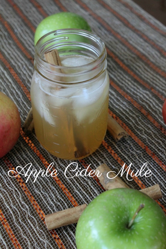 Tasty Apple Cider Moscow Mule 