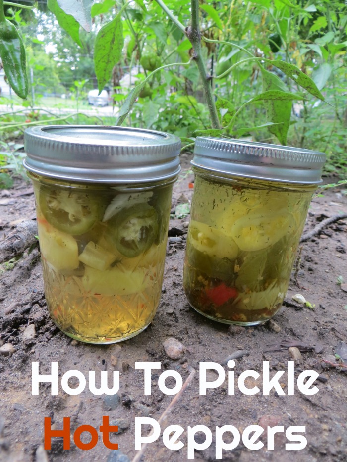 Easy Pickled Peppers 