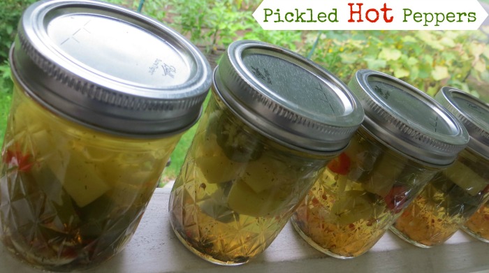 How To Pickle Hot Peppers