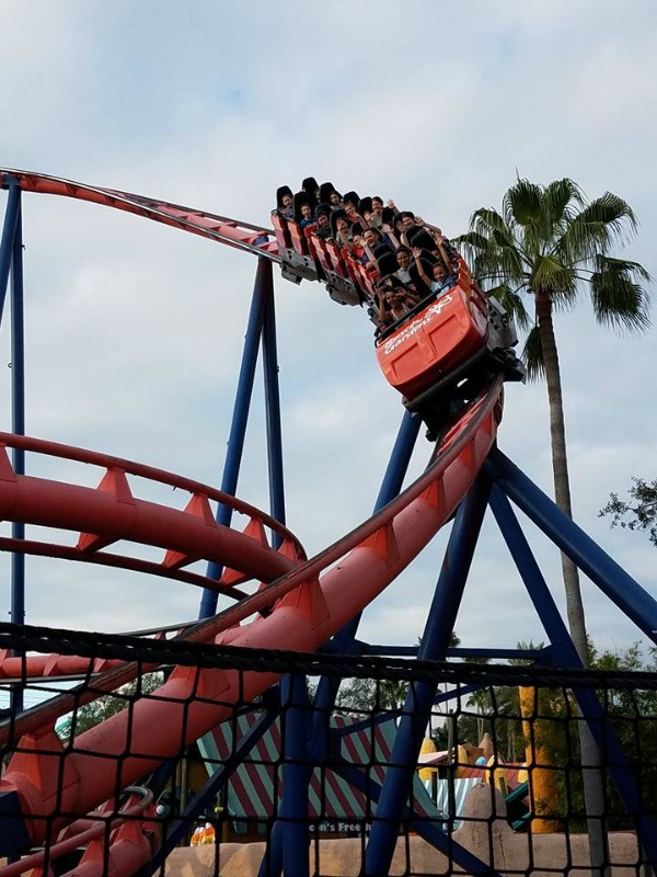 Rides for families at Busch Gardens Tampa