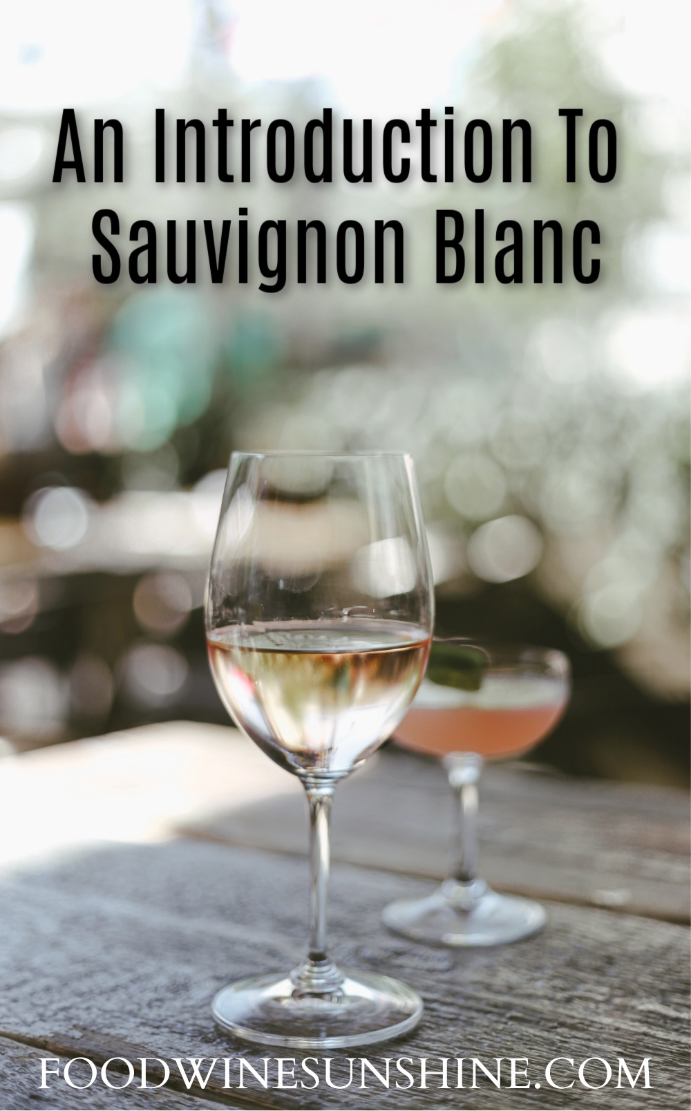 Introduction To Sauvignon Blanc