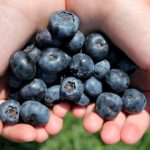 Blueberry Balsamic Vinaigrette