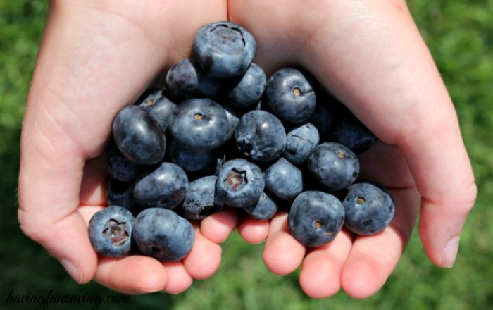 Blueberry Balsamic Vinaigrette