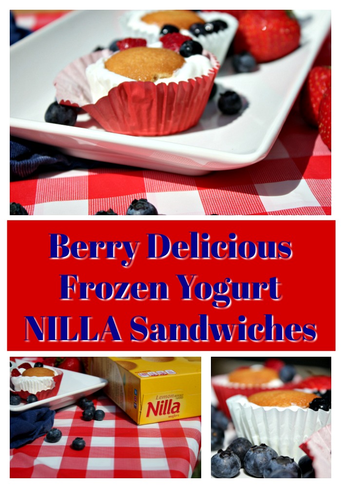 Berry Frozen Yogurt NILLA Sandwiches