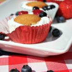 Frozen Yogurt NILLA Sandwiches