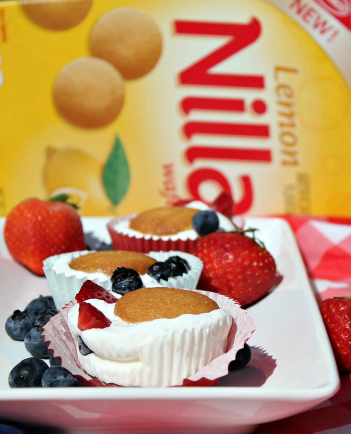 Best Frozen Yogurt Lemon NILLA Wafer Sandwiches