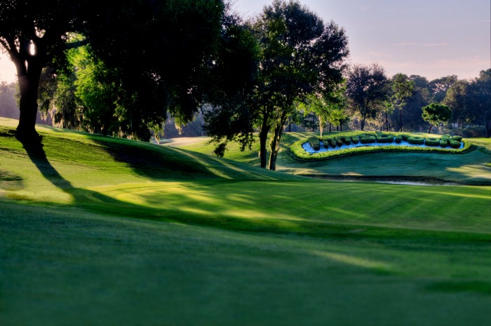 Innisbrook Resort Is Open To the Public