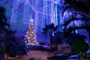 Christmas at Gaylord Palms