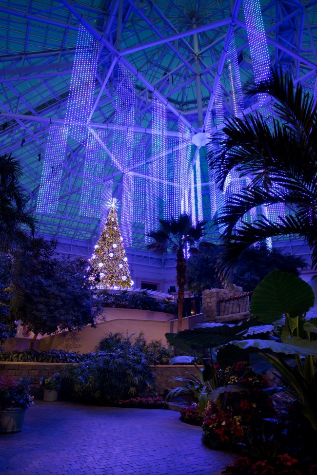 Christmas at Gaylord Palms