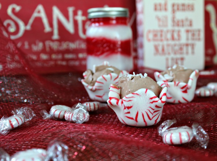 How to make Peppermint Candy Shot Glasses